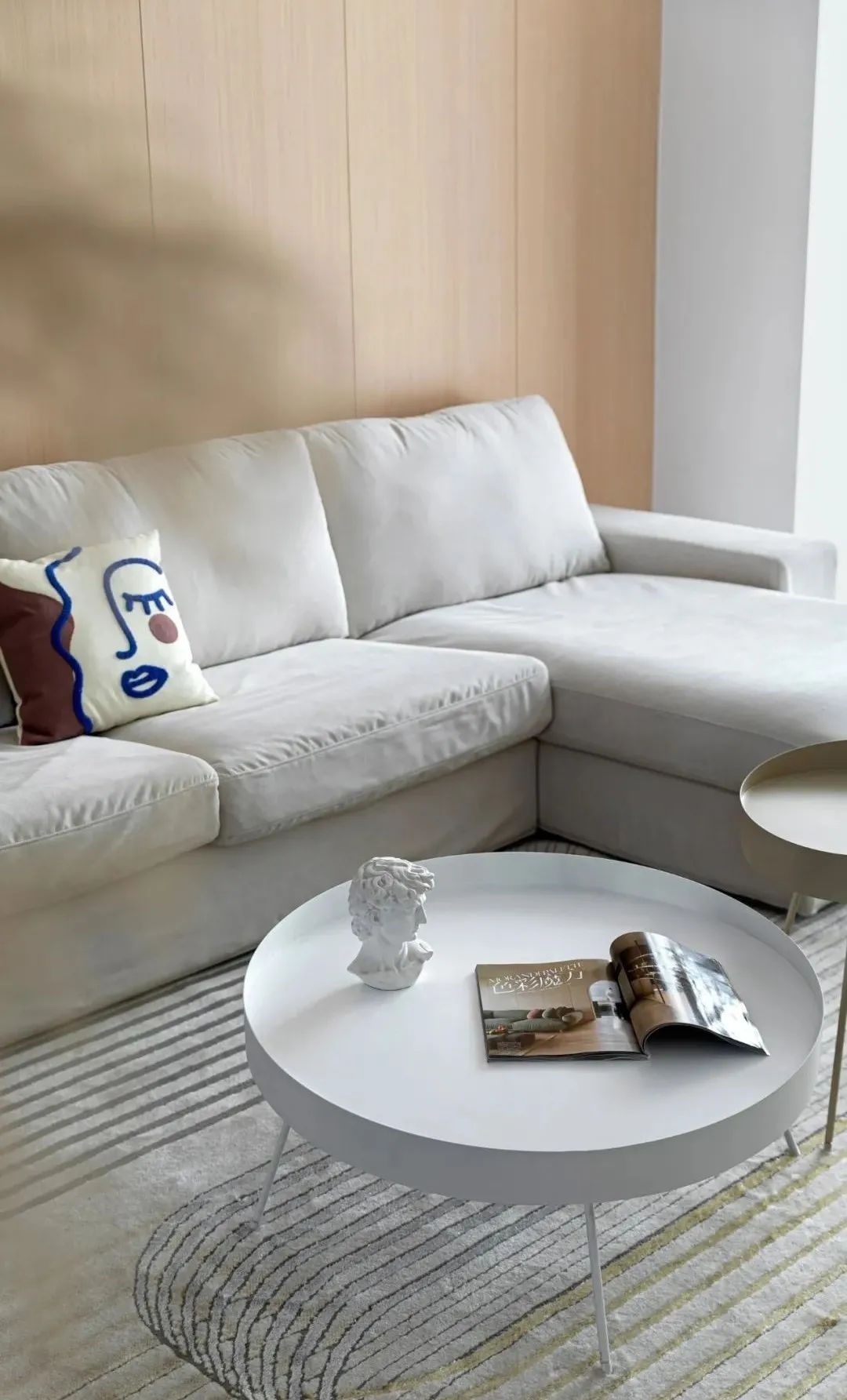 留學夫妻曝光居家日常，這套隱藏式“收納巨獸”藏不住了