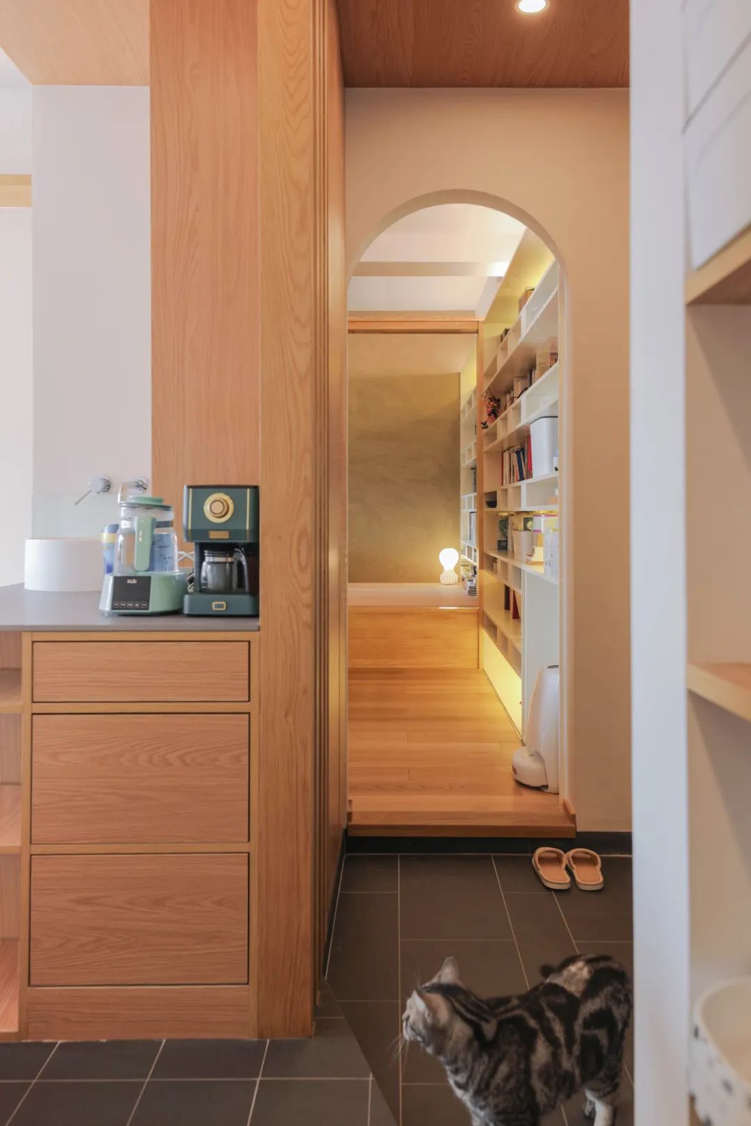 一人兩喵丨貓咪“空中走廊”、我的“和風書房”