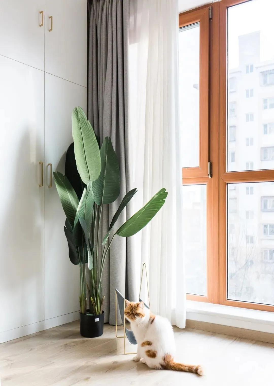 小兩口看婚房，男友嫌棄老破小，裝完后他傻眼了