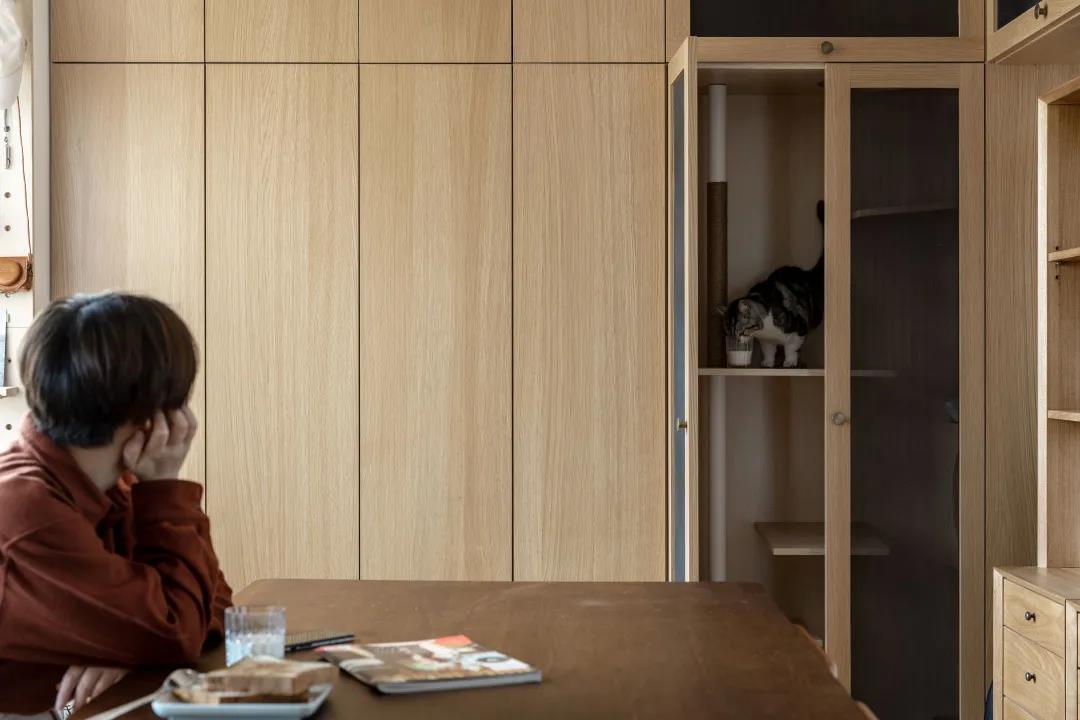65㎡住一人一貓還裝下了上百冊藏書，家里親戚都酸了