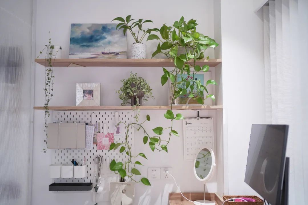 疫情下一家四口春日氣息100㎡的家，久宅不膩!	