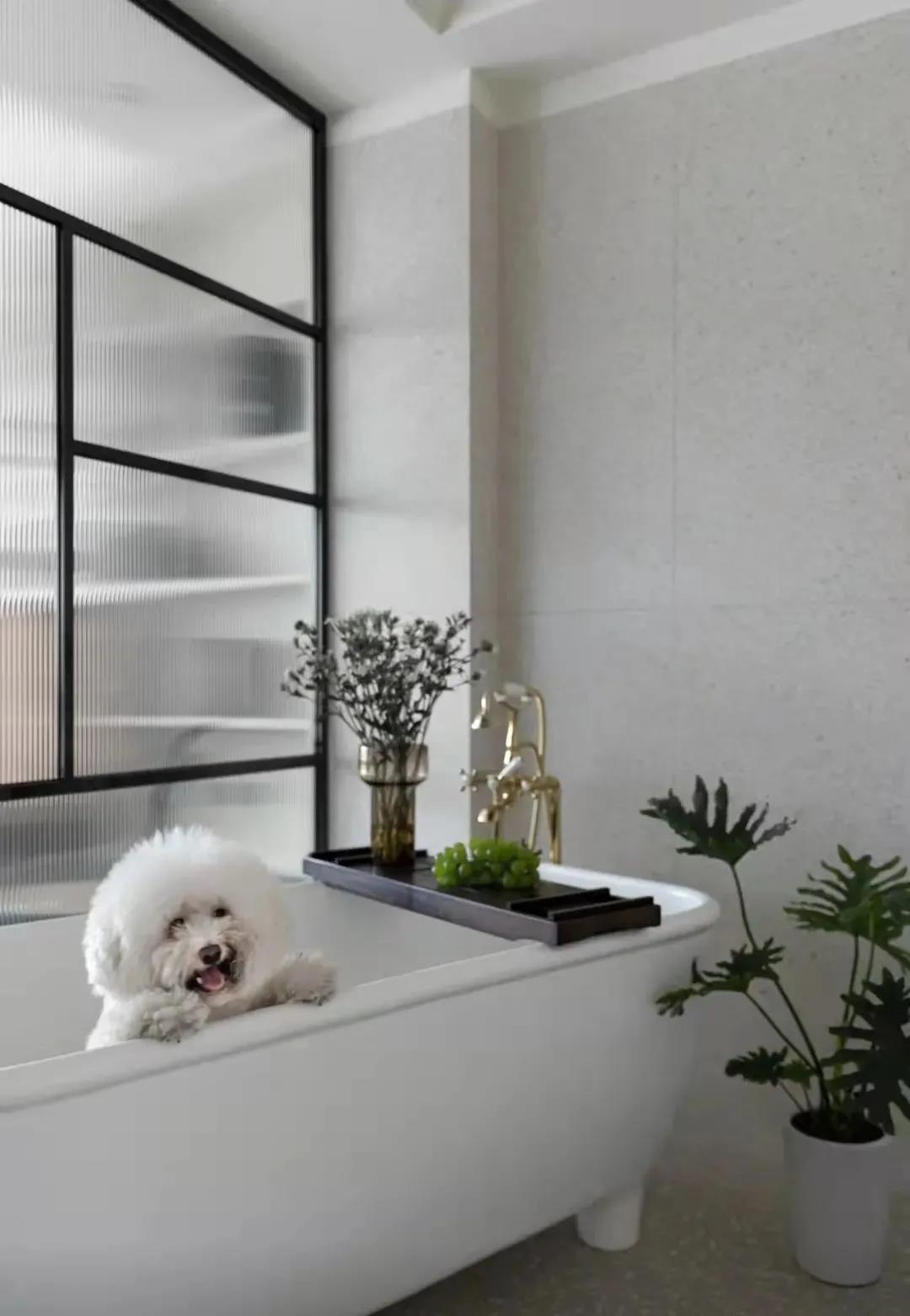 「訪」非傳統客廳＋多功能臥室，職住一體的復古烏托邦 