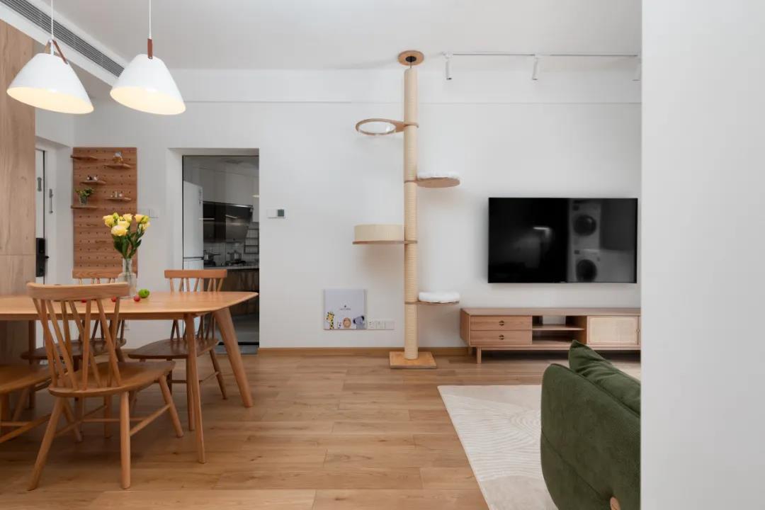 小紅書爆火：2人2喵入住異形小戶，仿佛是日劇穿越~	