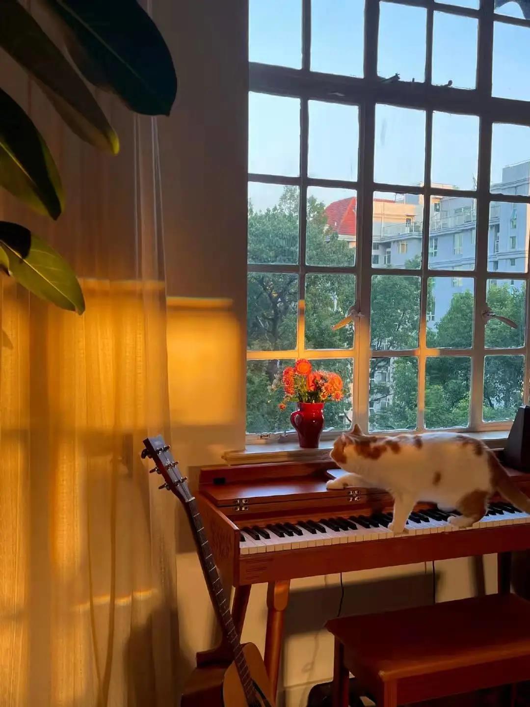 這屆情侶有多會住？格子門窗日光浴，隨性又自由	