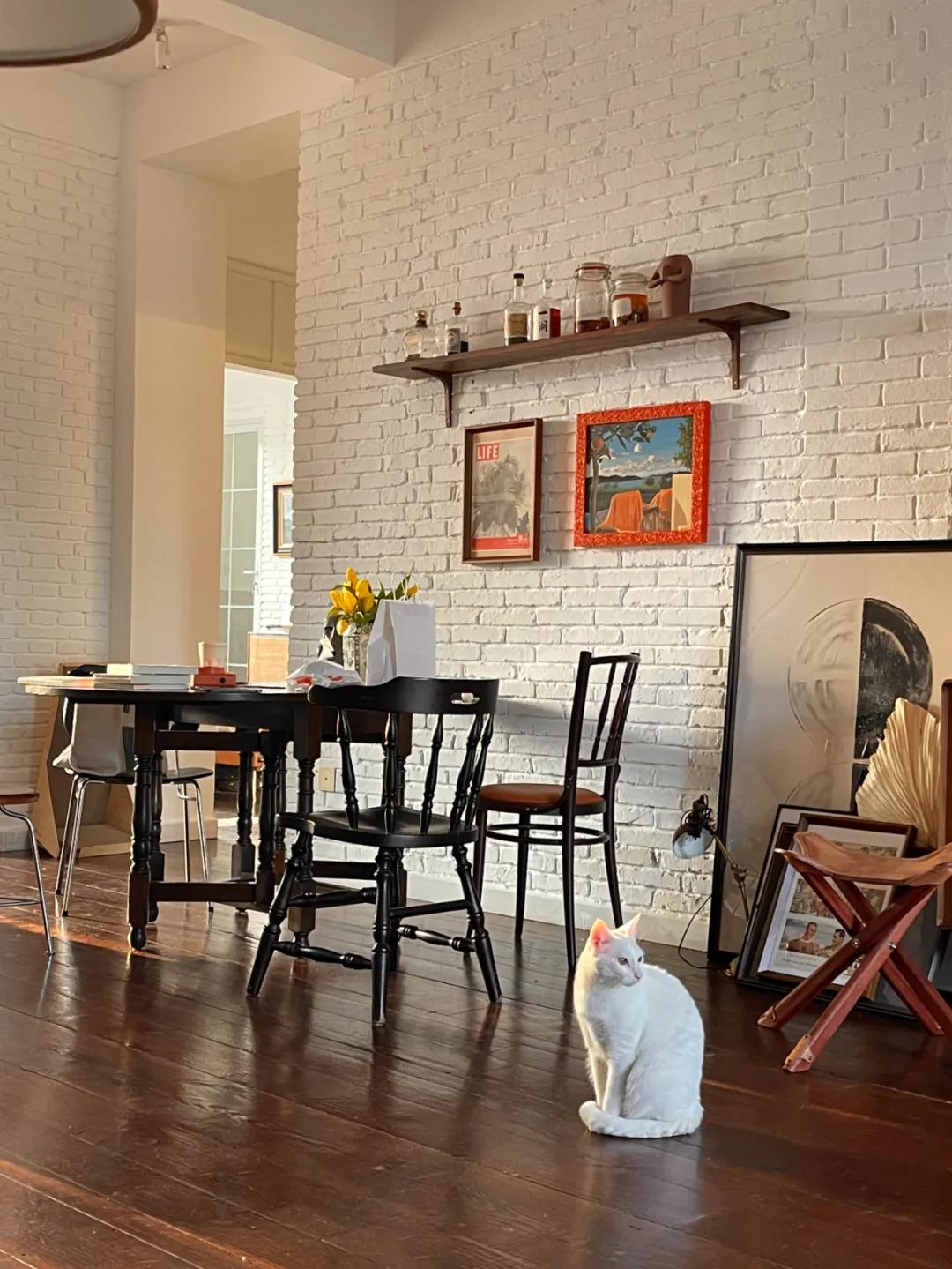 這屆情侶有多會住？格子門窗日光浴，隨性又自由	