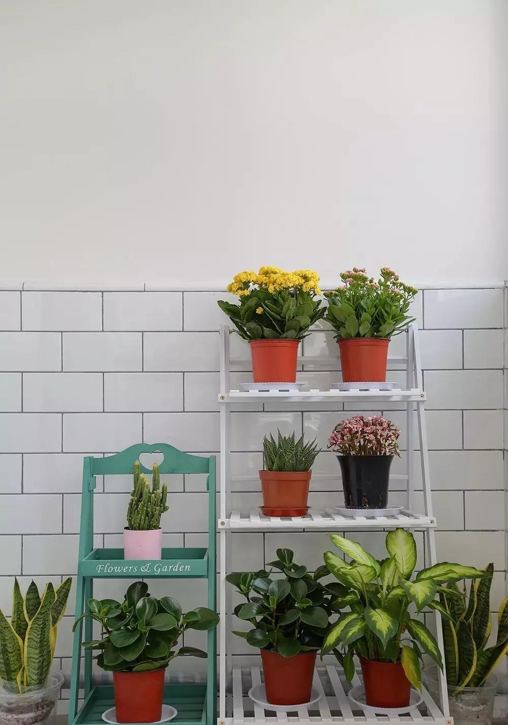 走心設計：「卡座餐廳＋入戶休閑吧」解決入戶見廳煩惱