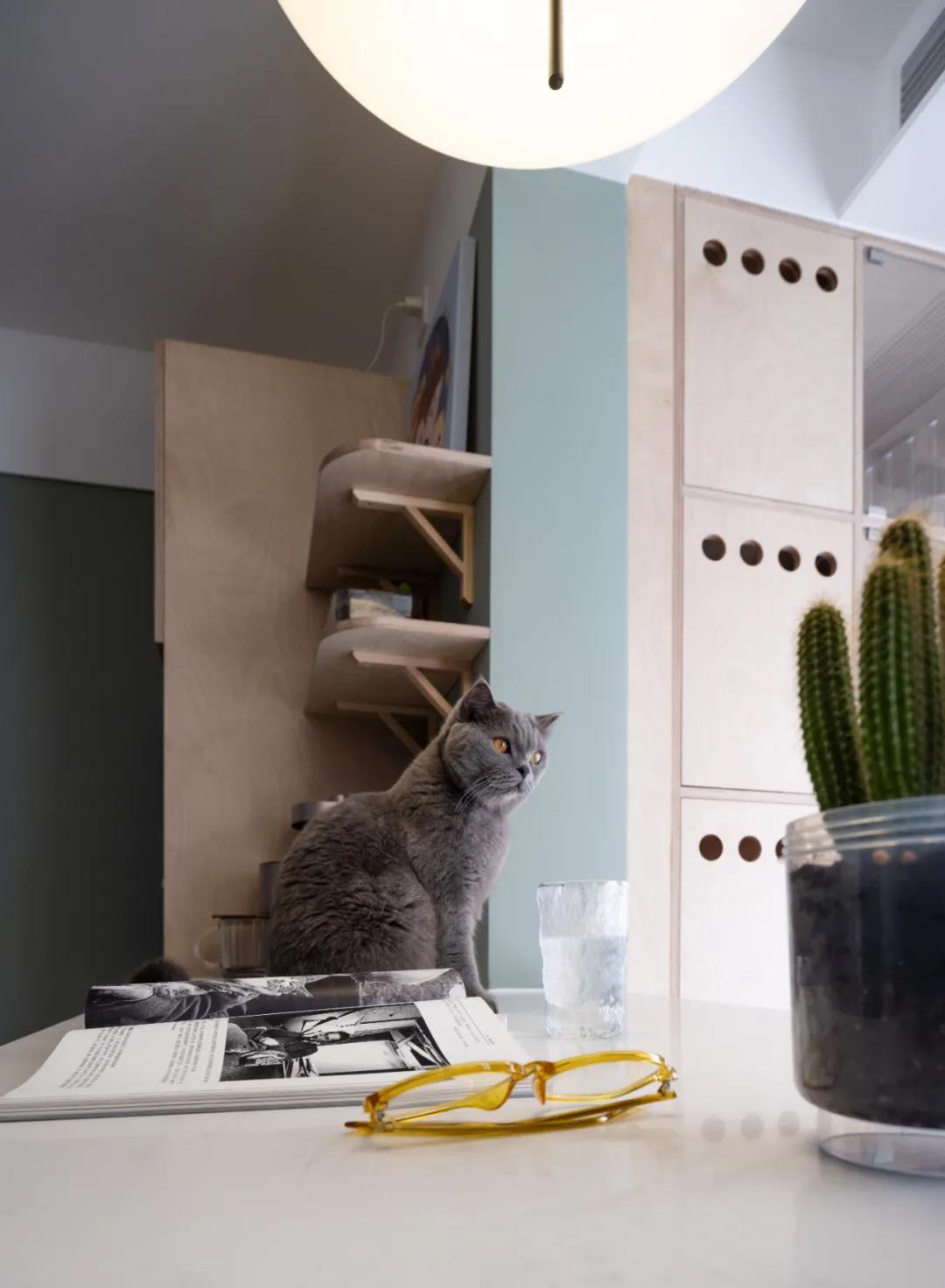 78㎡超極限規(guī)劃“貓咪樂園”，過道變書房，功能性max！