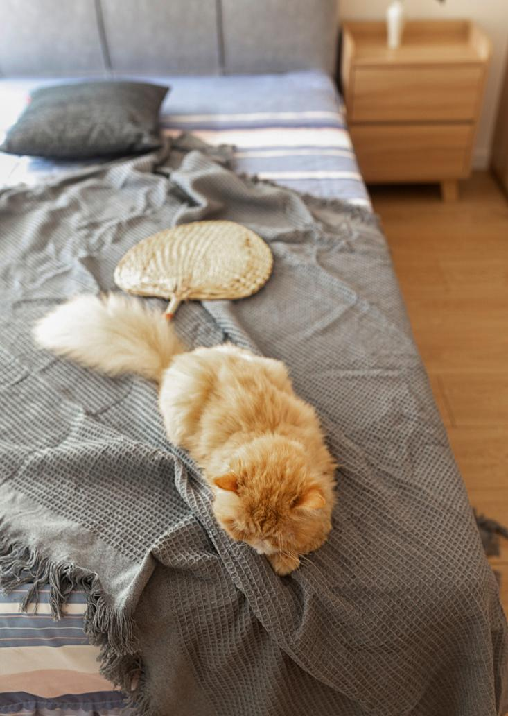 「退休生活」送爸媽90㎡日式暖宅，N處細節讓人看紅眼眶