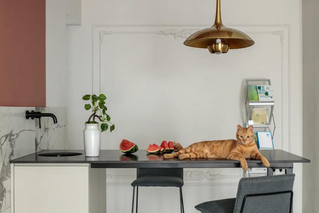 90后『婚房改裝記』，與愛人萌寵為伴，幸福感UP UP!