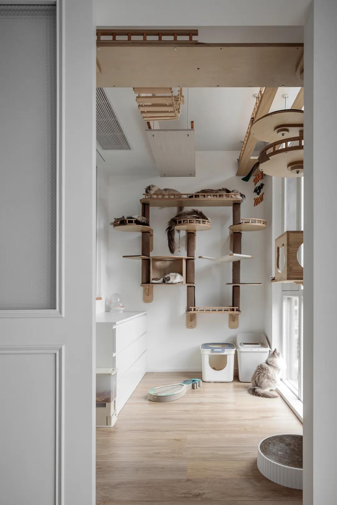 海歸小夫妻爆改126㎡，兩人六喵“高調(diào)”入住！