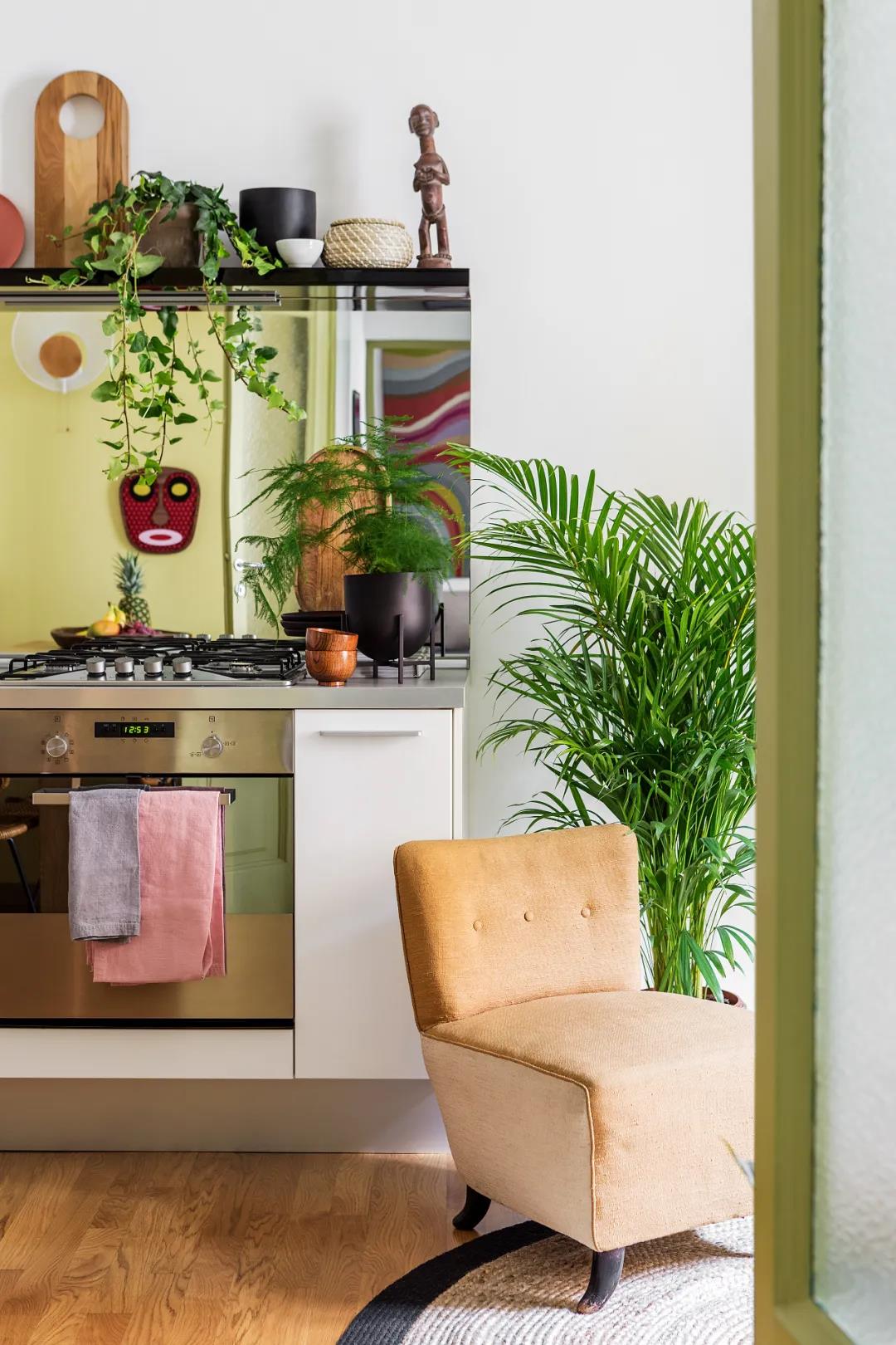 寶藏小屋 | 50㎡弄堂老房搖身一變夢幻的綠野仙蹤