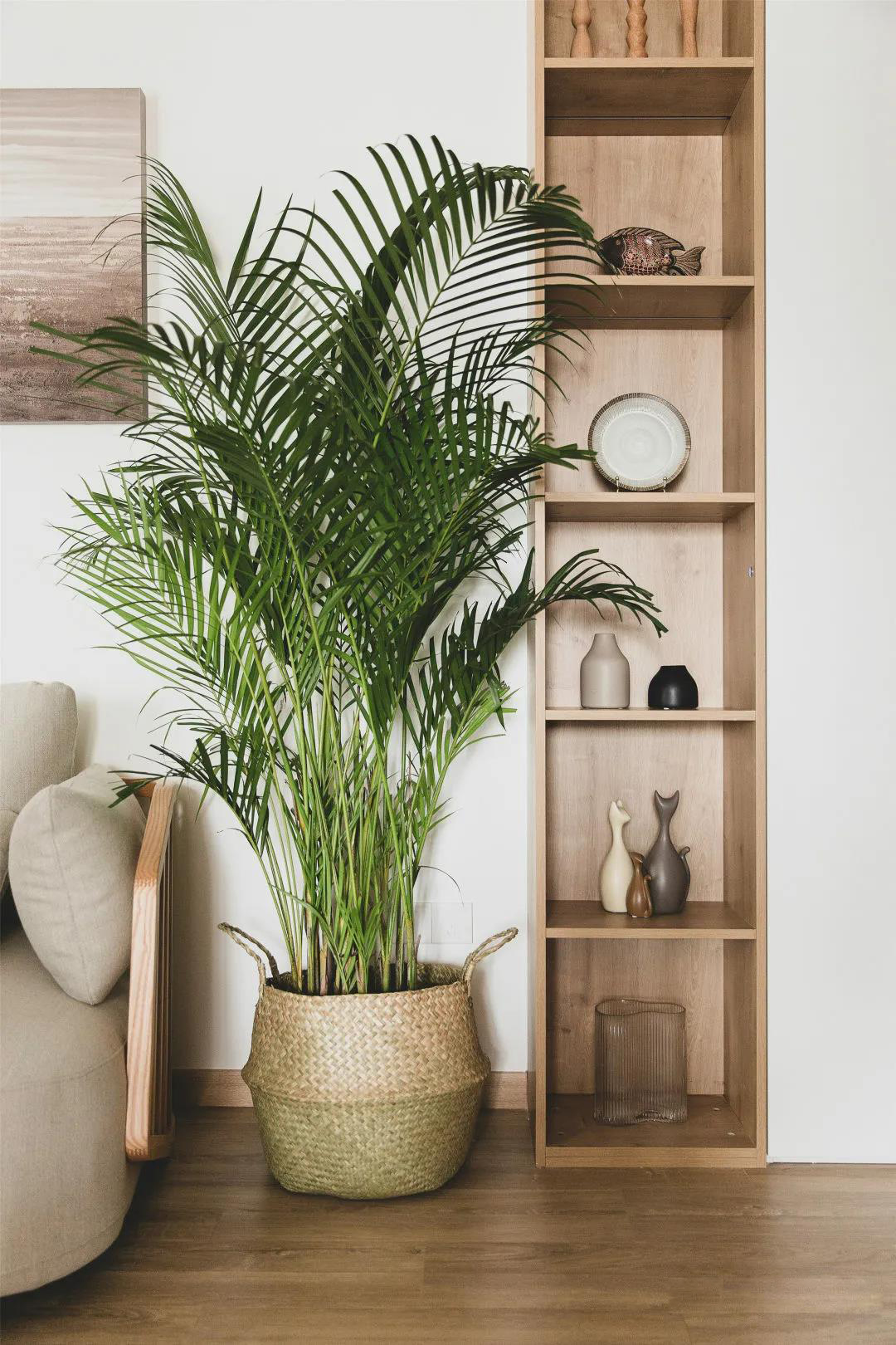 109㎡心機改造，轉(zhuǎn)角變書房，低預算也能get日式美宅！