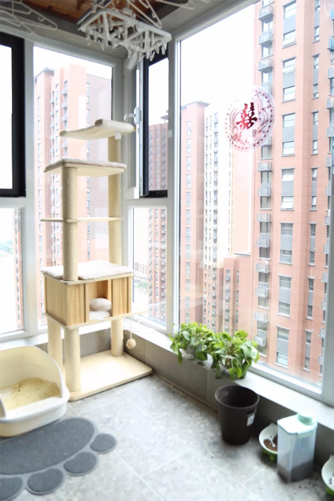 90后夫妻買下92㎡：兩人一貓半院子，“偷”得浮生半日閑！