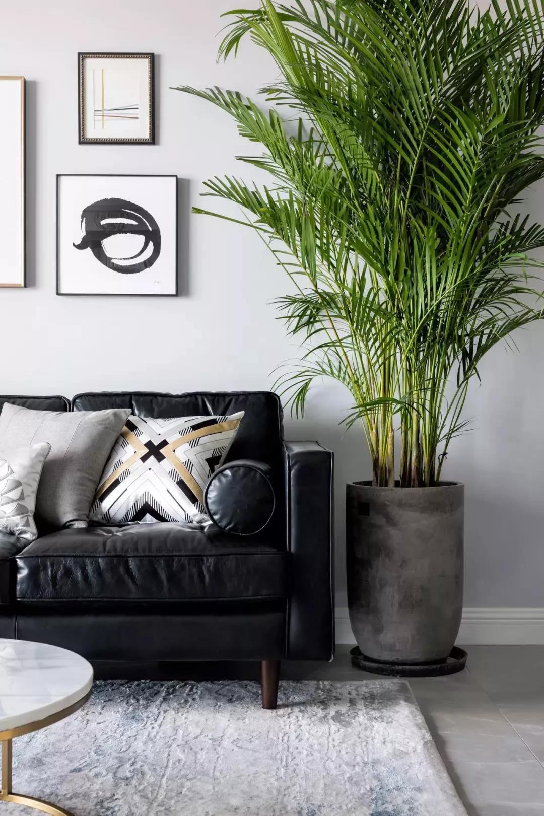 花園陽(yáng)臺(tái)+閱讀式客廳 新晉奶爸13萬(wàn)實(shí)現(xiàn)妻子輕奢美式夢(mèng)