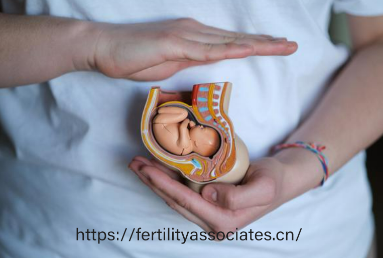 2024裝修風格趨勢：現代簡約VS復古工業風怎么選?